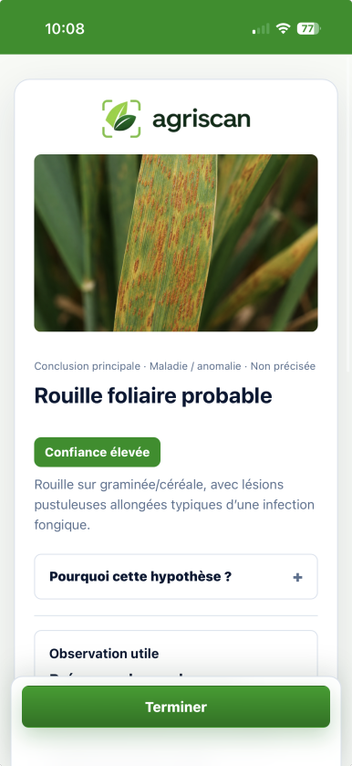 Photo d'une feuille de culture prise dans la parcelle